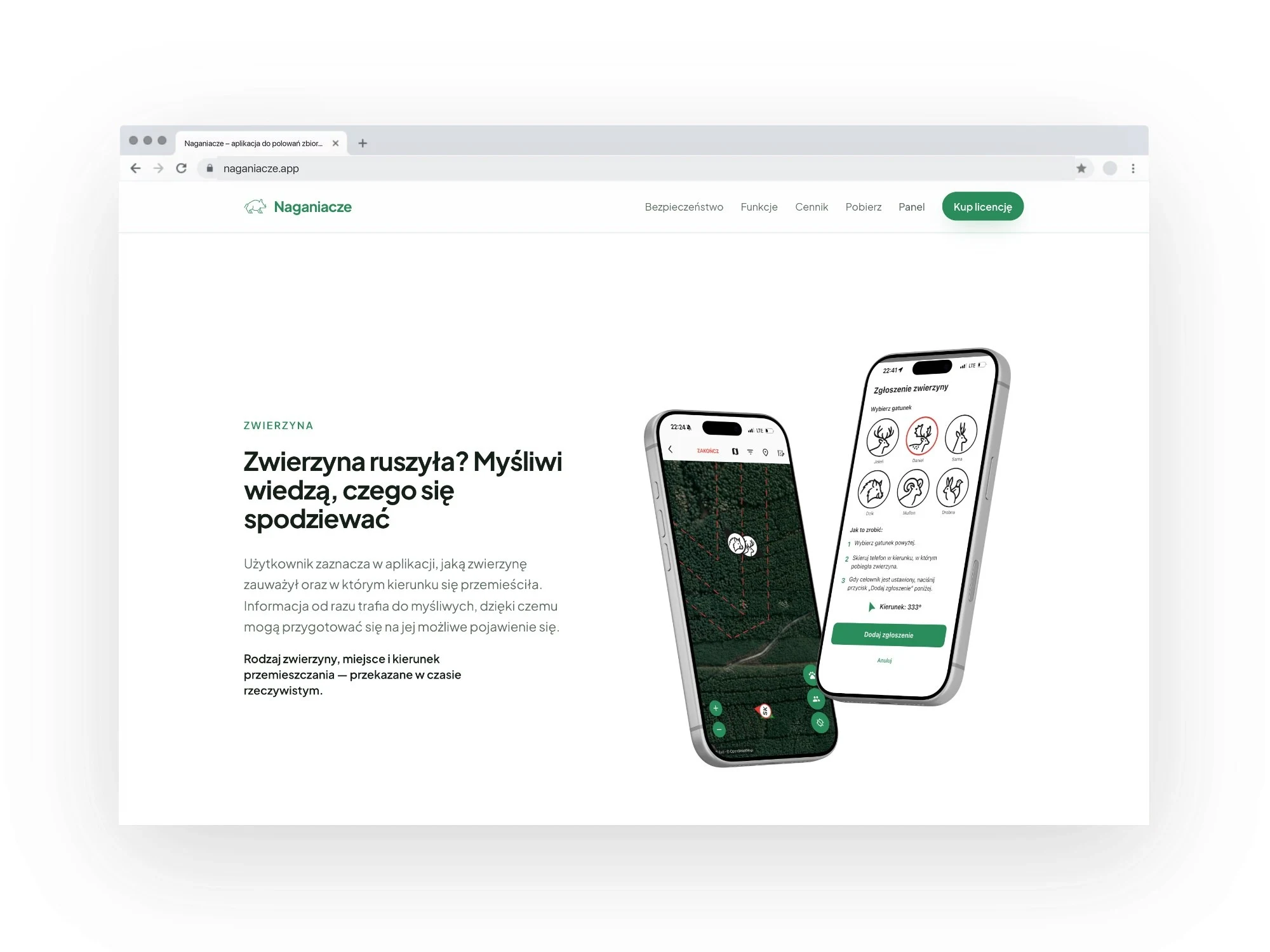 Sekcja „Zwierzyna ruszyła?” na stronie naganiacze.app w oknie przeglądarki