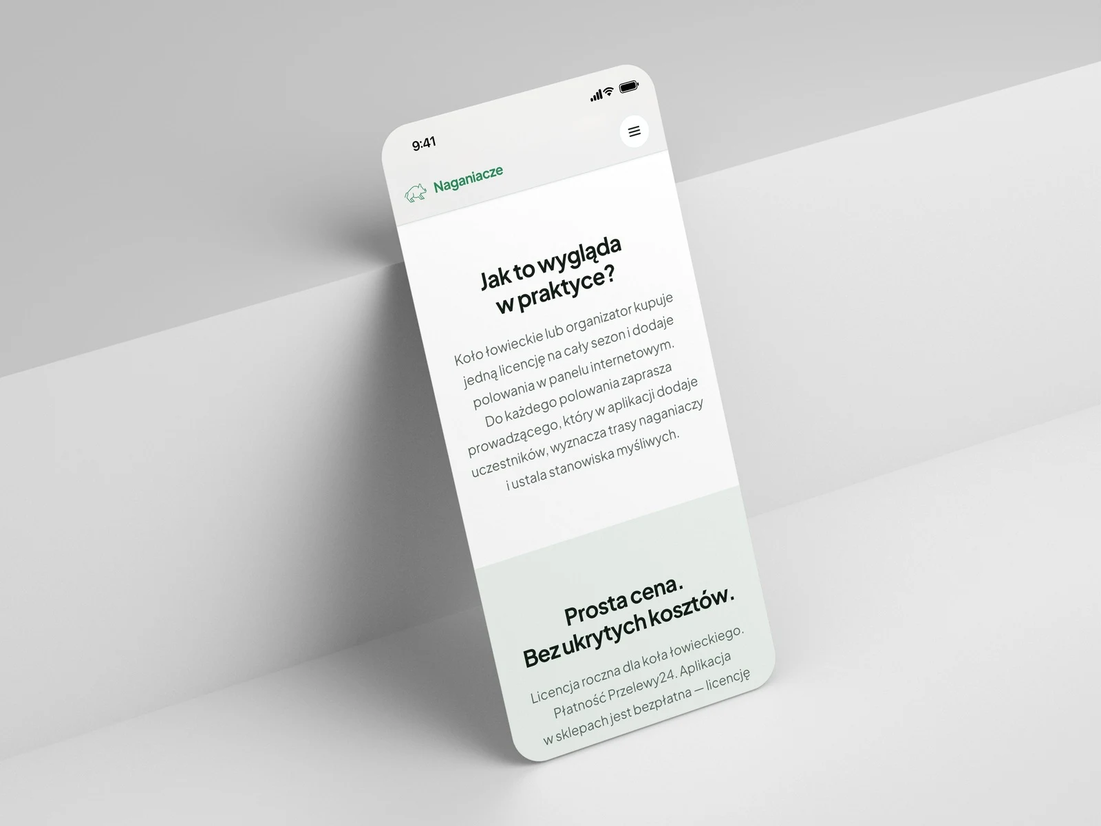Sekcja „Jak to wygląda w praktyce?” na mobilnej wersji strony naganiacze.app