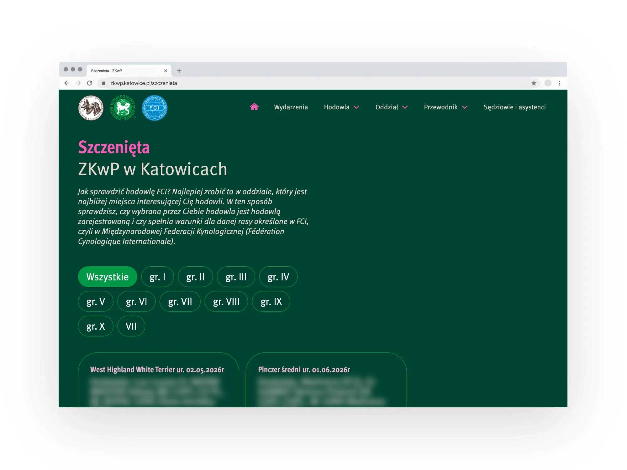 Ogłoszenia szczeniąt w przeglądarce